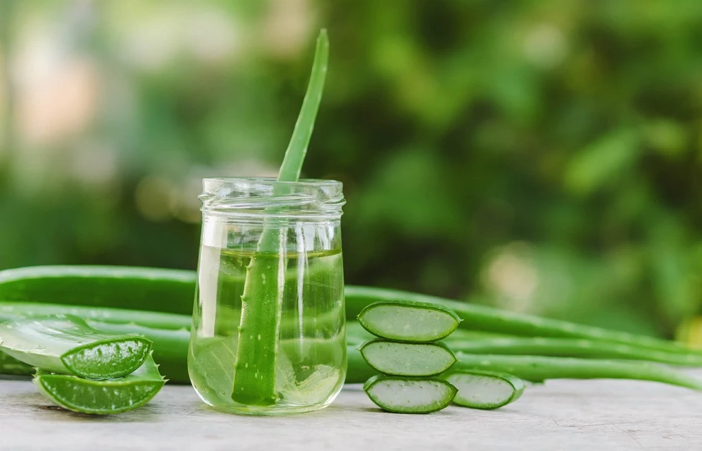 9 Aloe Vera Benefits for Face and Skin