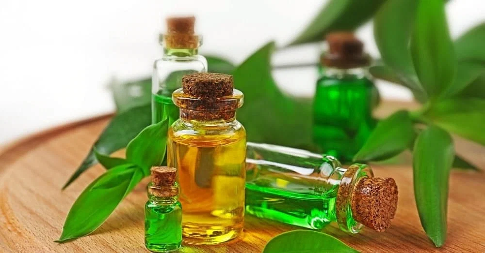 How Does Tea Tree Oil Help the Skin?